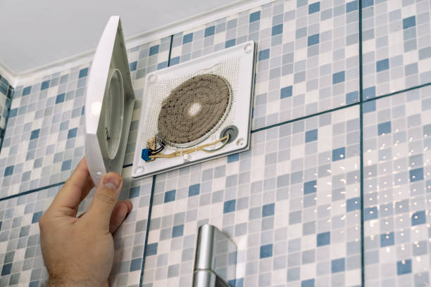 Air Duct Mold Removal in Pleasant Valley, MO
